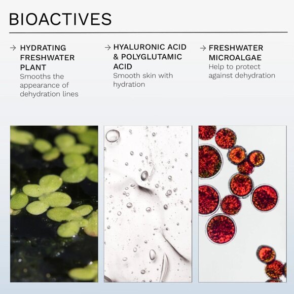 REN CLEAN SKINCARE Everhydrate Marine Moisture-Replenish Cream - Picture 3 of 10